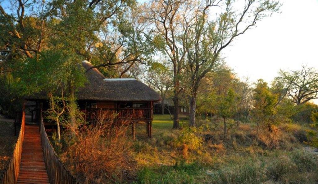 Idube Game Reserve Sabi Sand Game Reserve Kamer foto